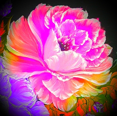 Gorgeous Rose Fantasy Pink
